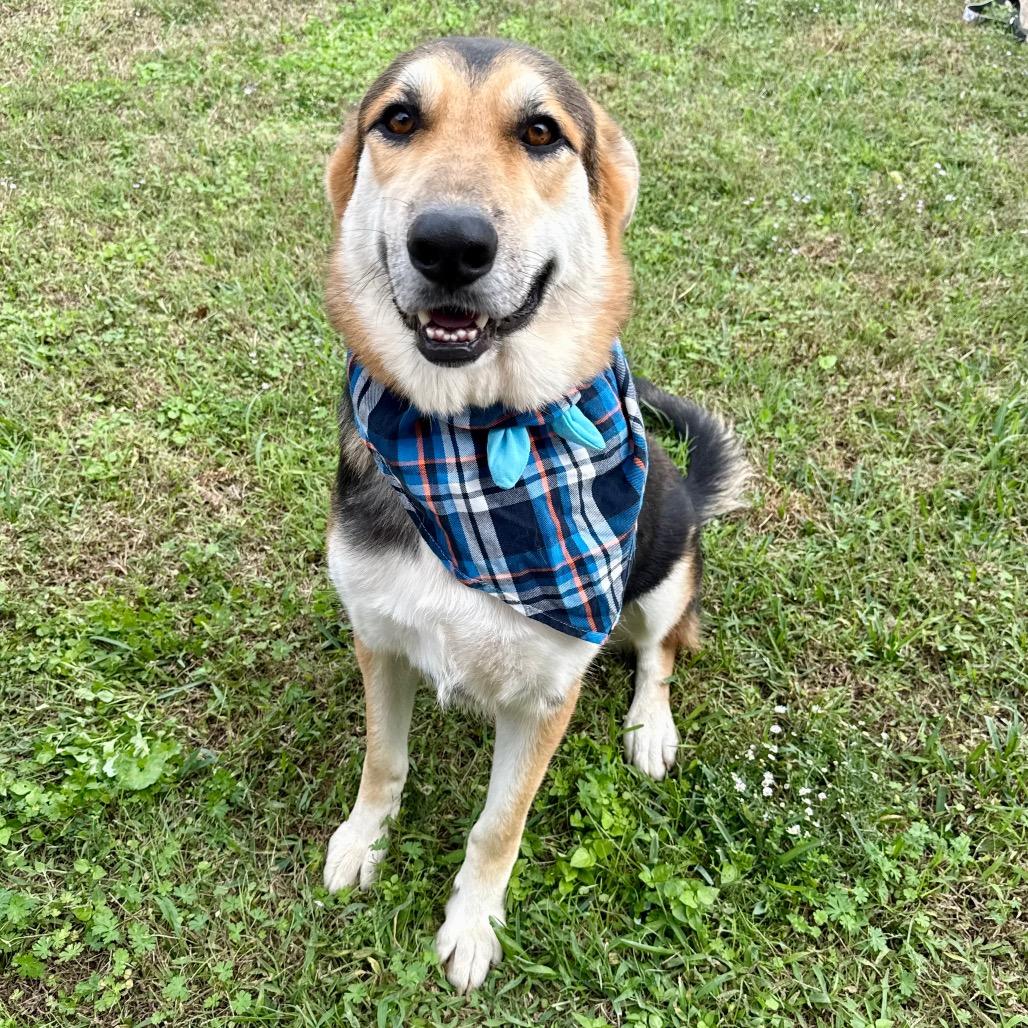 Beryl — thumbnail 4