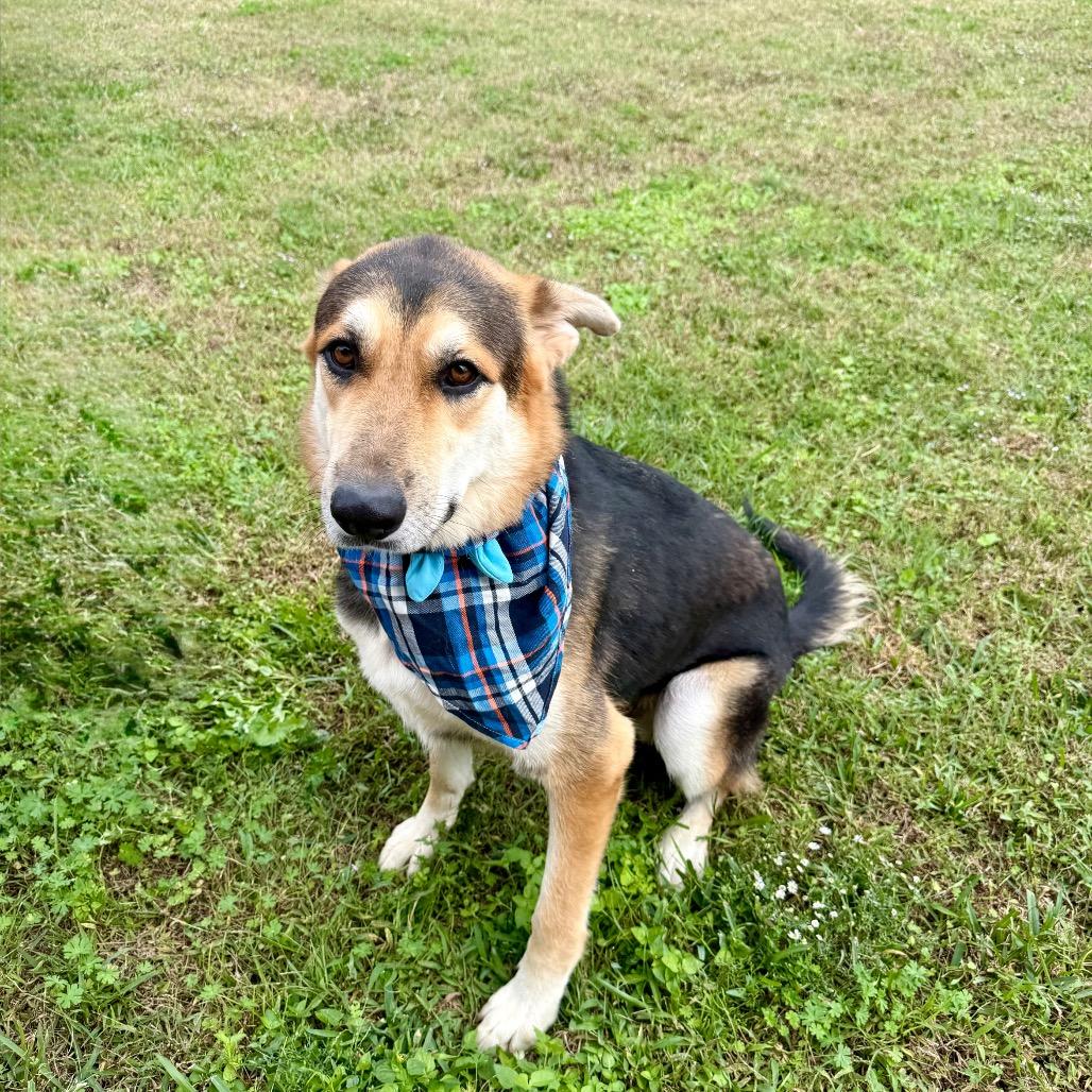 Beryl — thumbnail 5