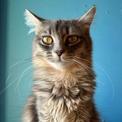 Sophia (Bonded with Maximus)