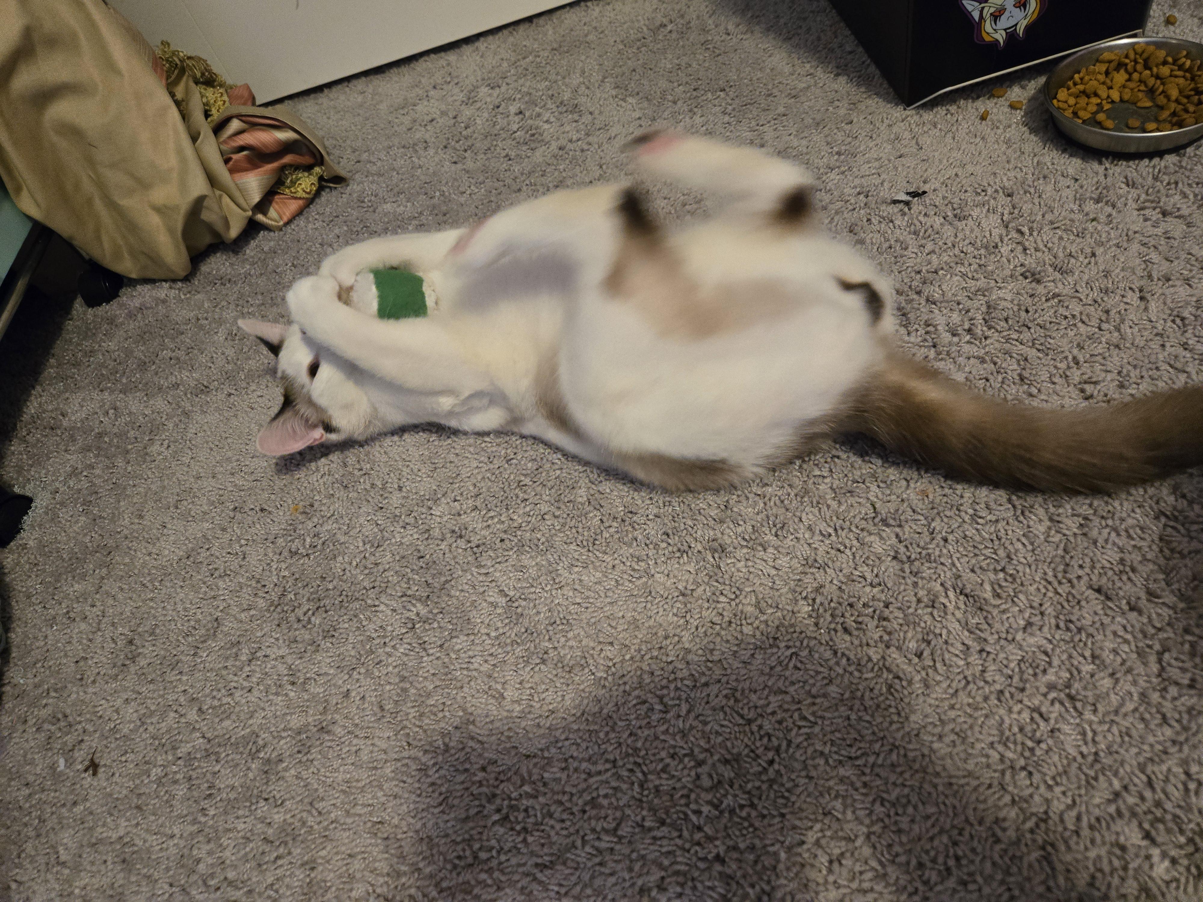 Pistachio thumbnail 6