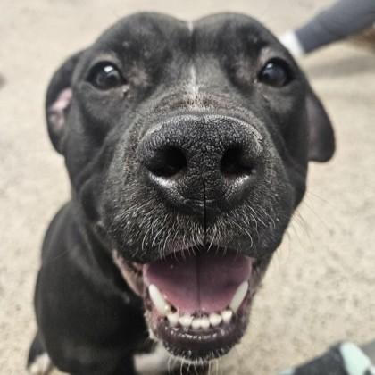Ella