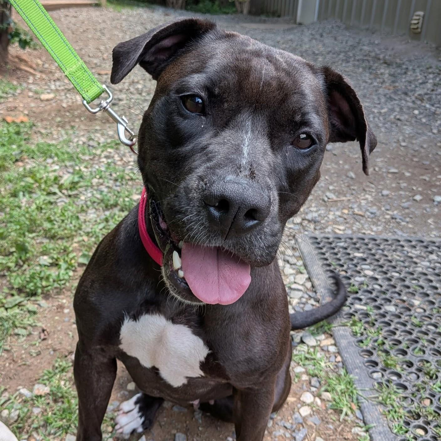 Ella