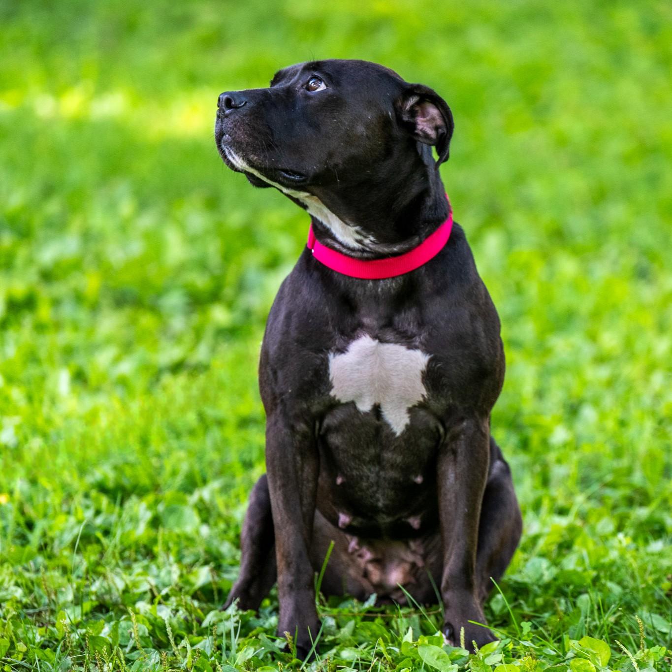 Ella