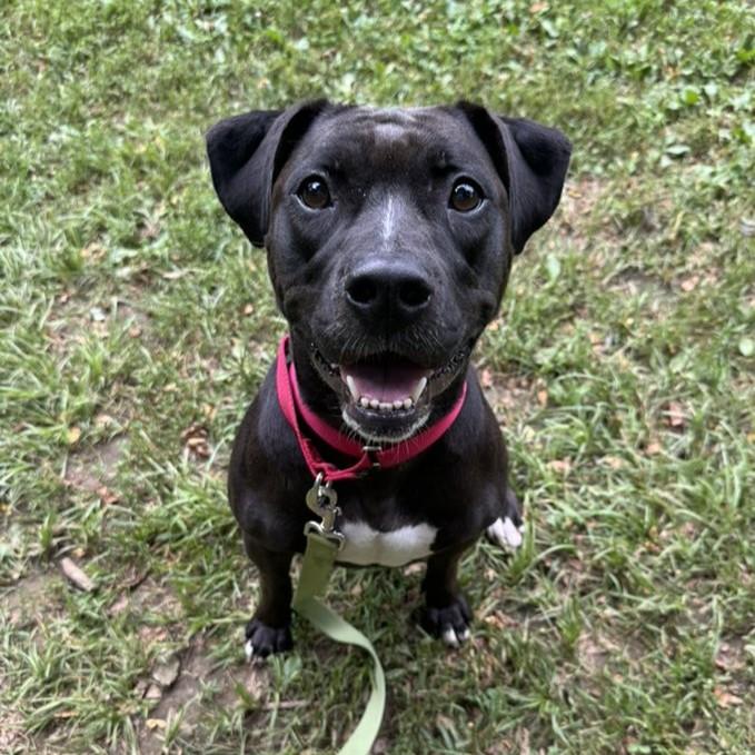 Ella