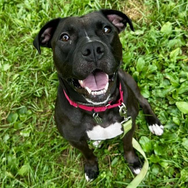 Ella