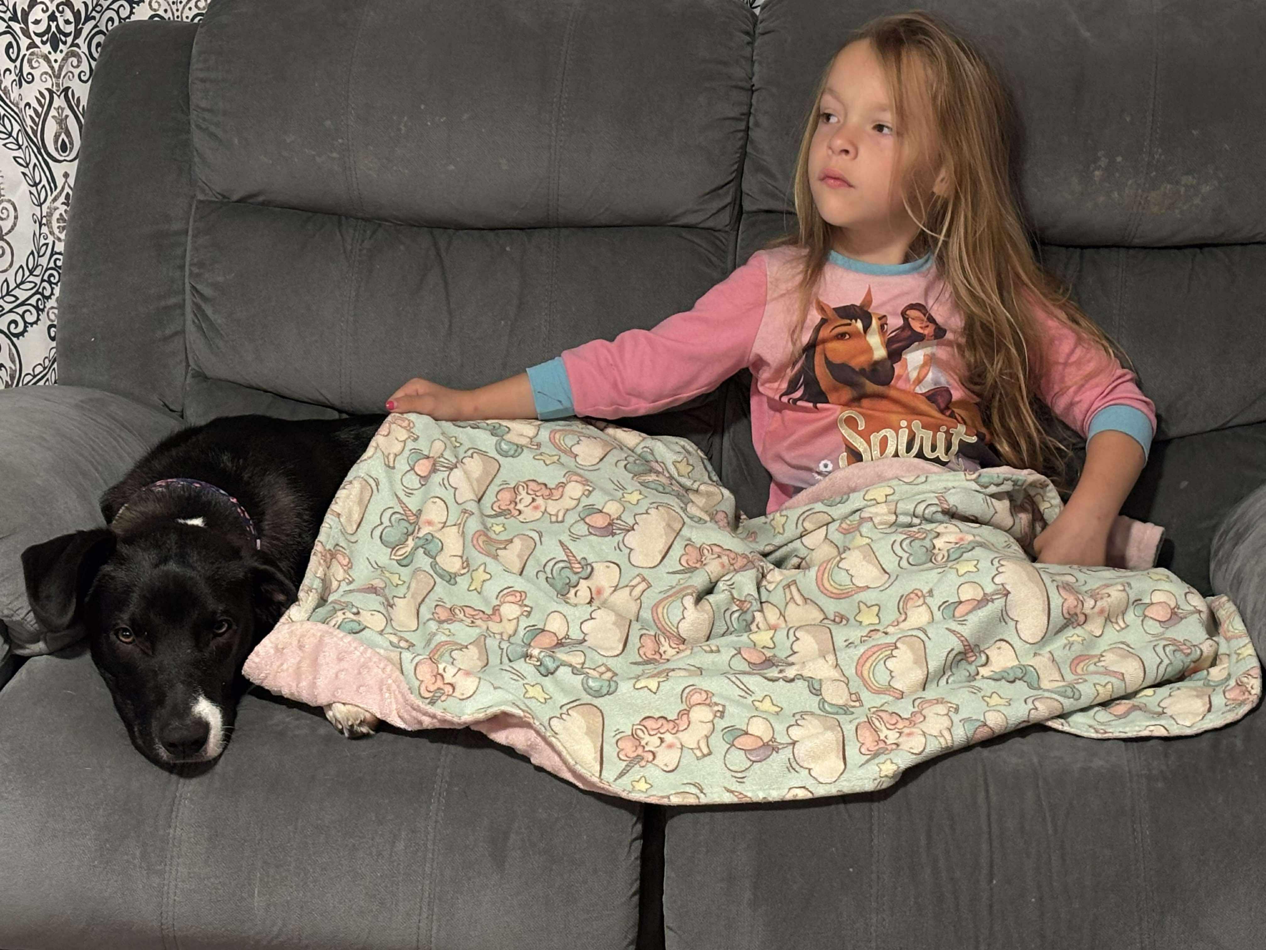 Duke, a Adoptable mixed breed in Joliet, IL image 3/3