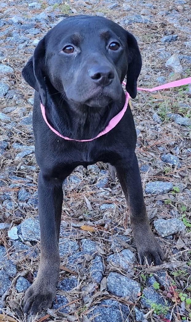 251176 Paris — thumbnail 3