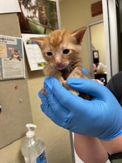 Bill Bailey thumbnail 2