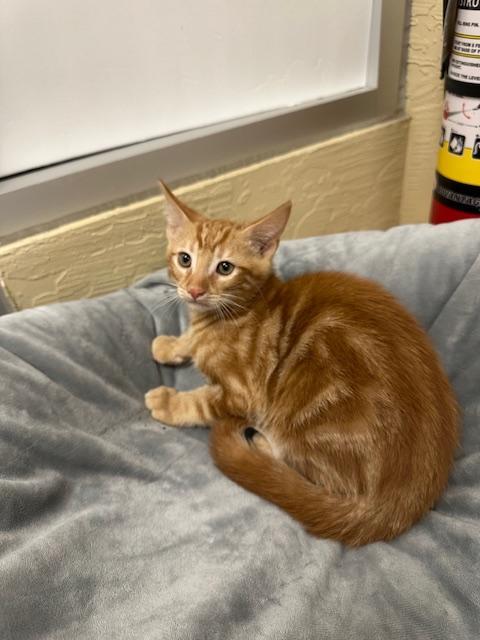 Bill Bailey thumbnail 3