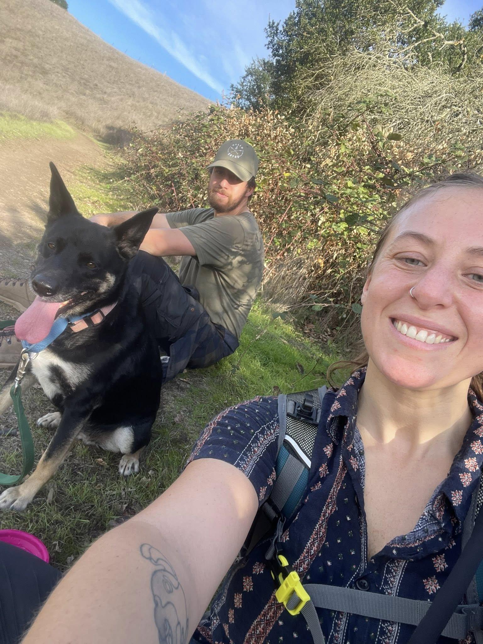 Enlarge Margie, an adopted mixed breed in Santa Rosa, CA image 2/6