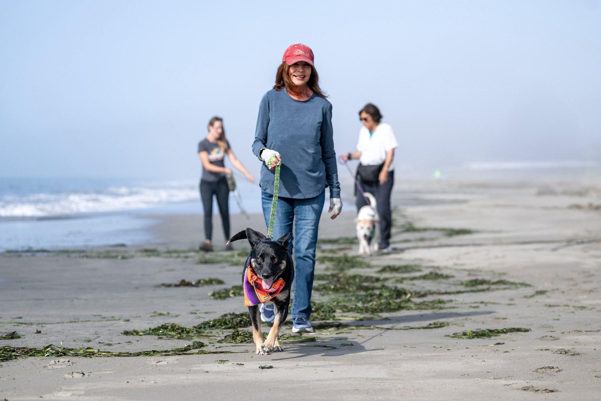 Margie, a Adoptable mixed breed in Santa Rosa, CA image 4/6