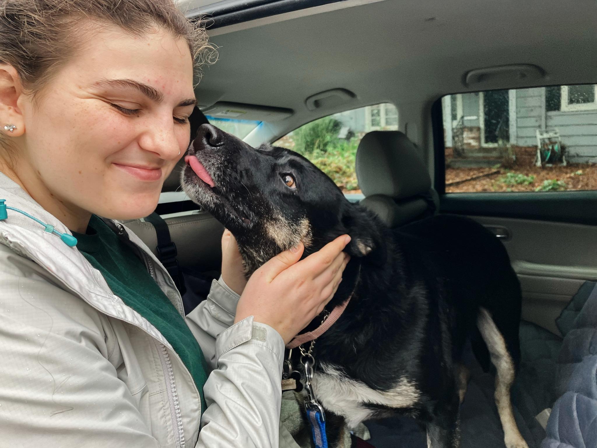 Enlarge Margie, an adopted mixed breed in Santa Rosa, CA image 5/6