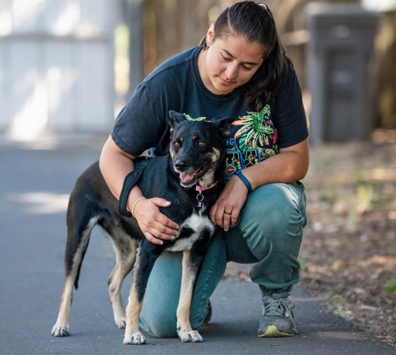 Margie, a Adoptable mixed breed in Santa Rosa, CA image 3/6