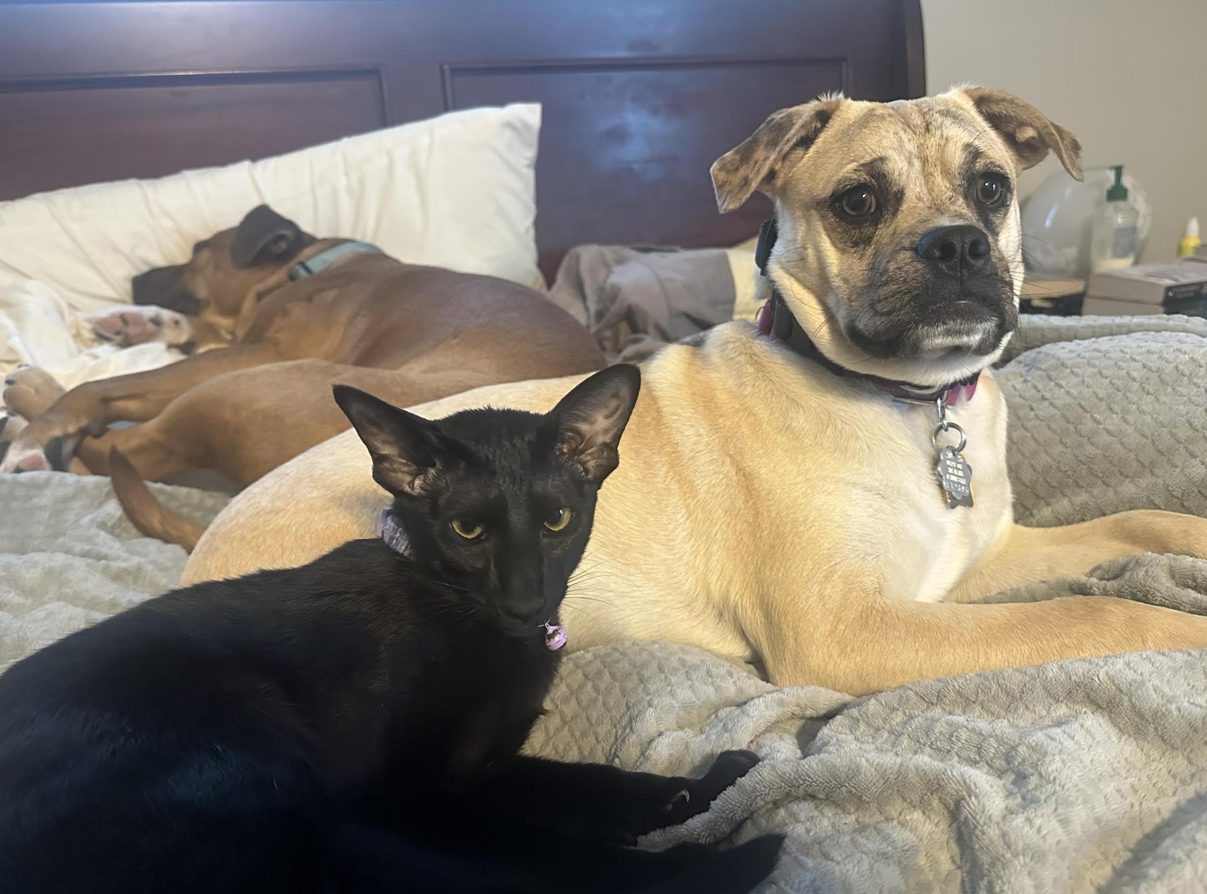 Mixie Moon thumbnail 3