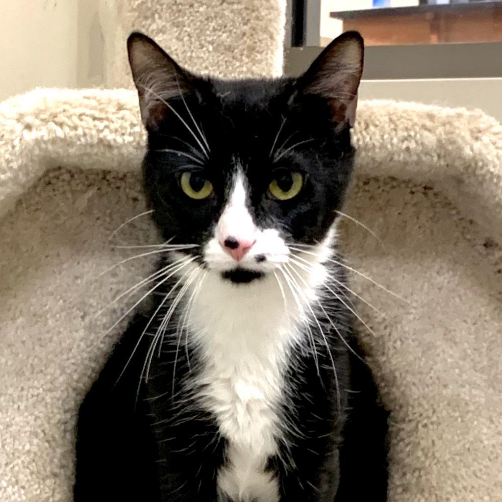 Ruckus — thumbnail 2