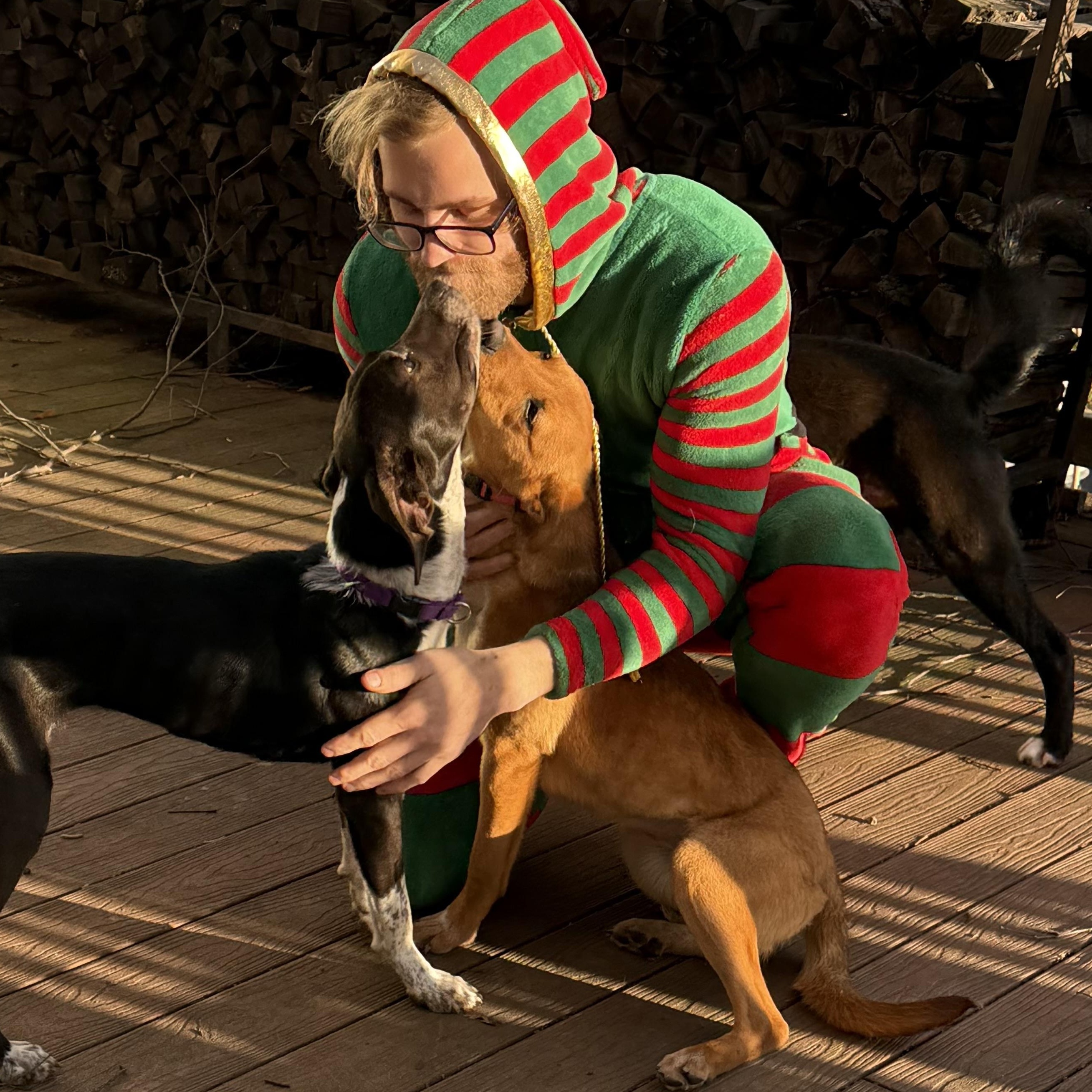 Enlarge Emily, a Adoptable mixed breed in West Grove, PA image 1/5