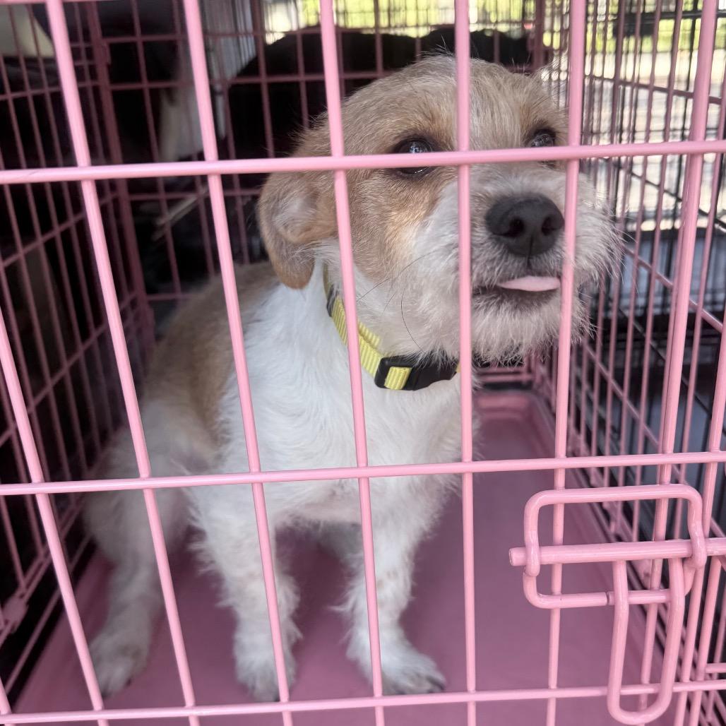 Baby Billy — thumbnail 2