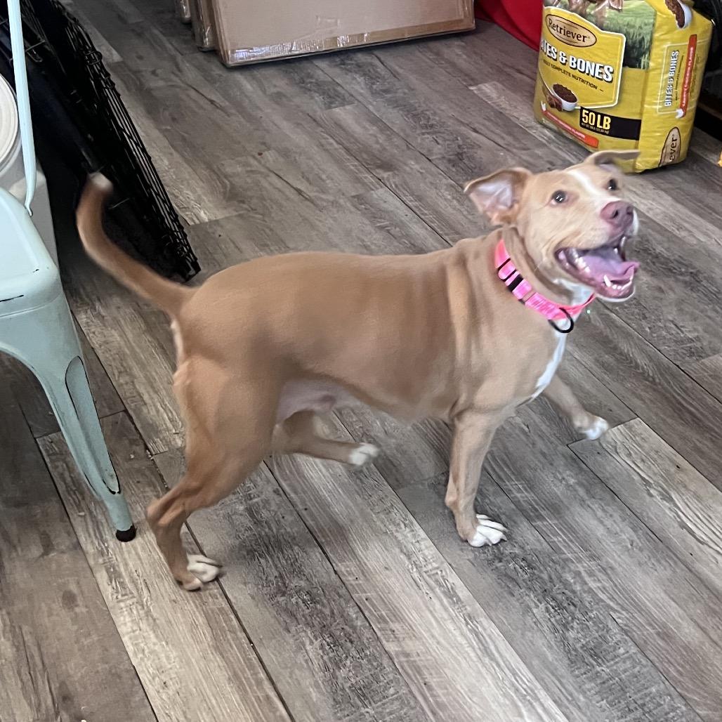 Sadie — thumbnail 3