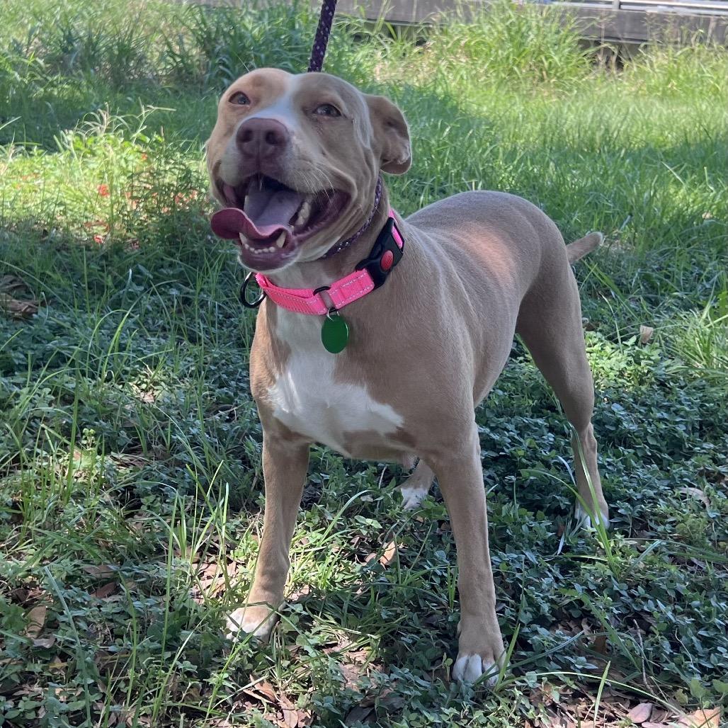 Sadie — thumbnail 4