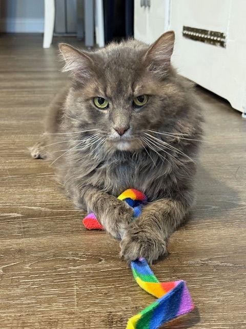 Smokey Robinson thumbnail 3