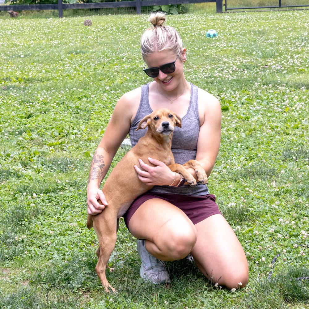 Abby (Female), a Adoptable mixed breed in West Grove, PA image 4/6