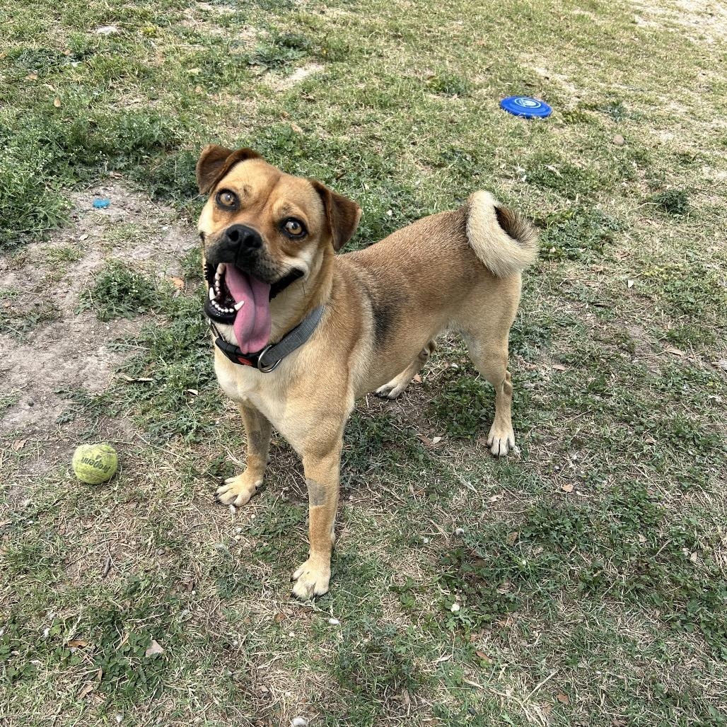 Photo of Delilah