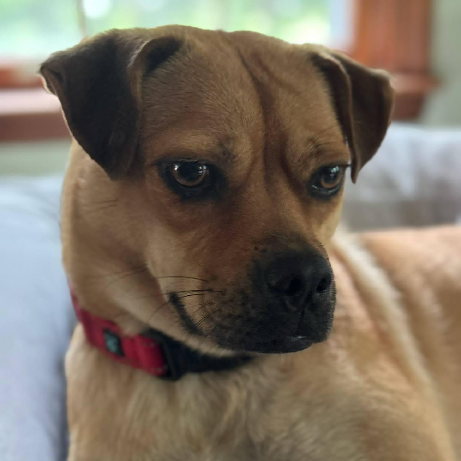 Delilah