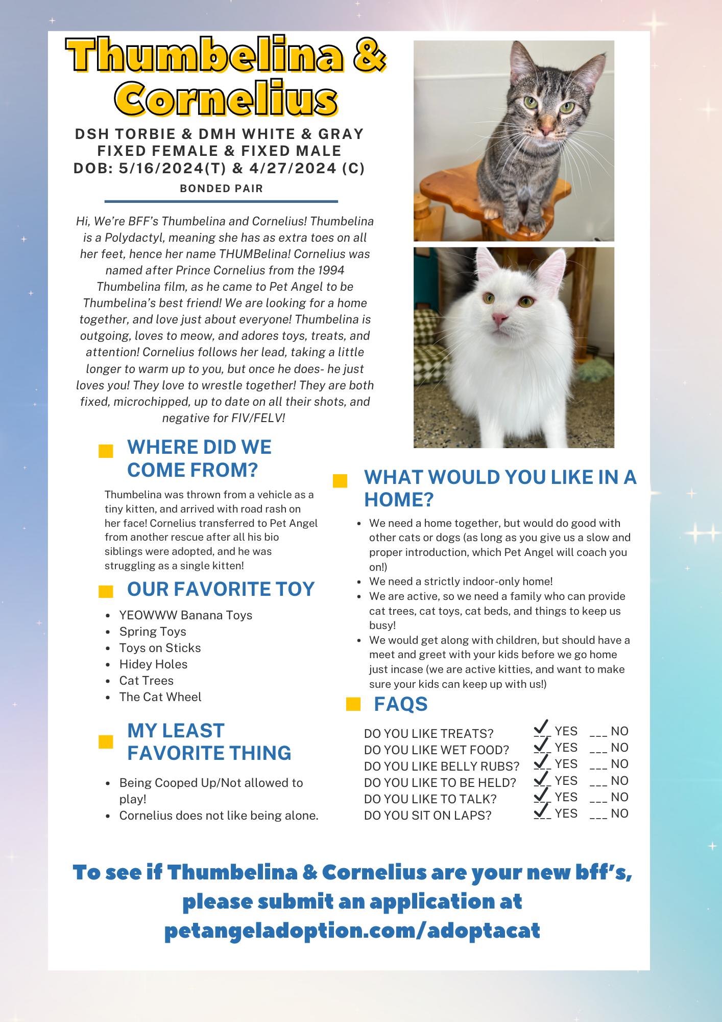 Enlarge Thumbelina & Cornelius, a Adoptable mixed breed in Frankenmuth, MI image 4/4