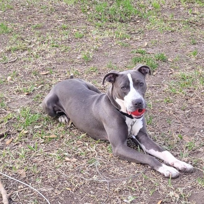 Tony — thumbnail 2