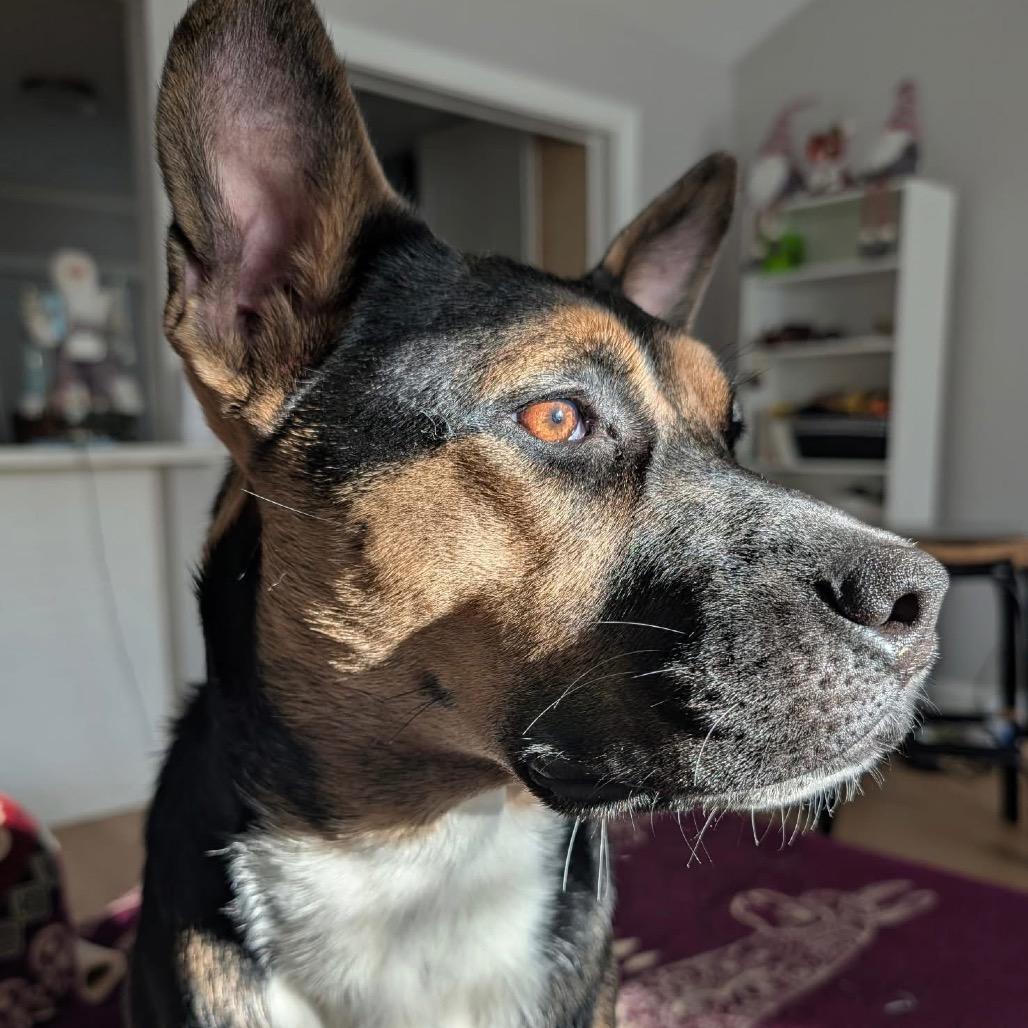 Abita Strawberry — thumbnail 5