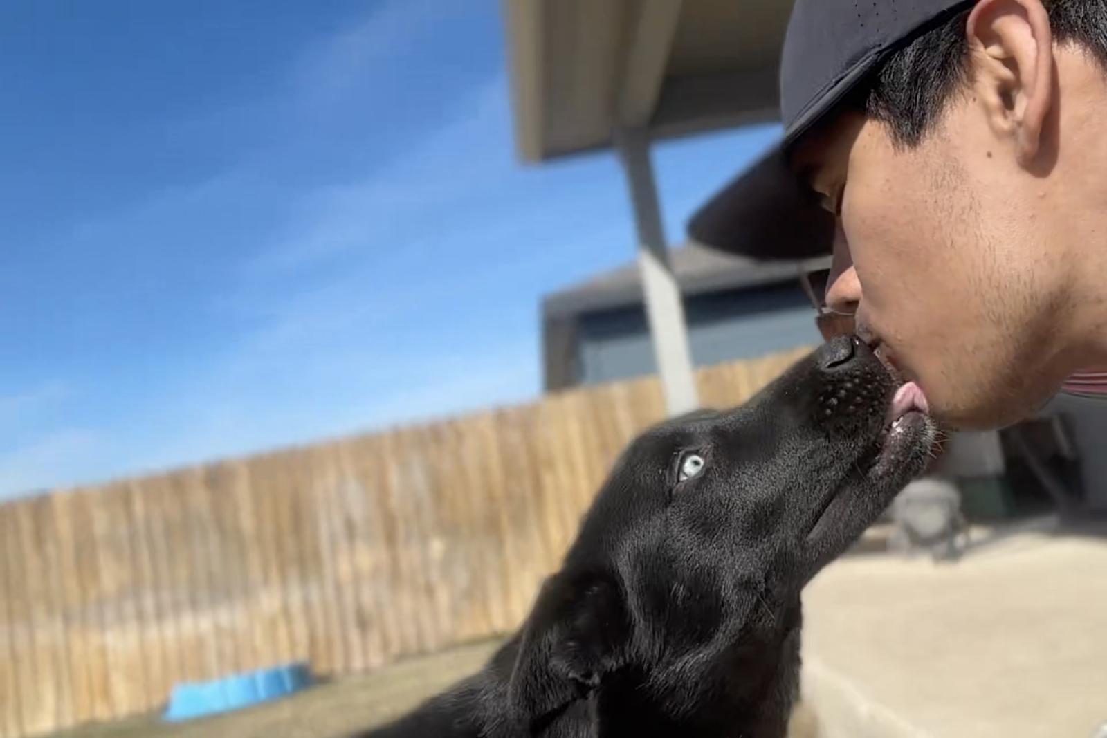 Enlarge Yin, a ADOPTABLE mixed breed in Luling, TX image 4/6