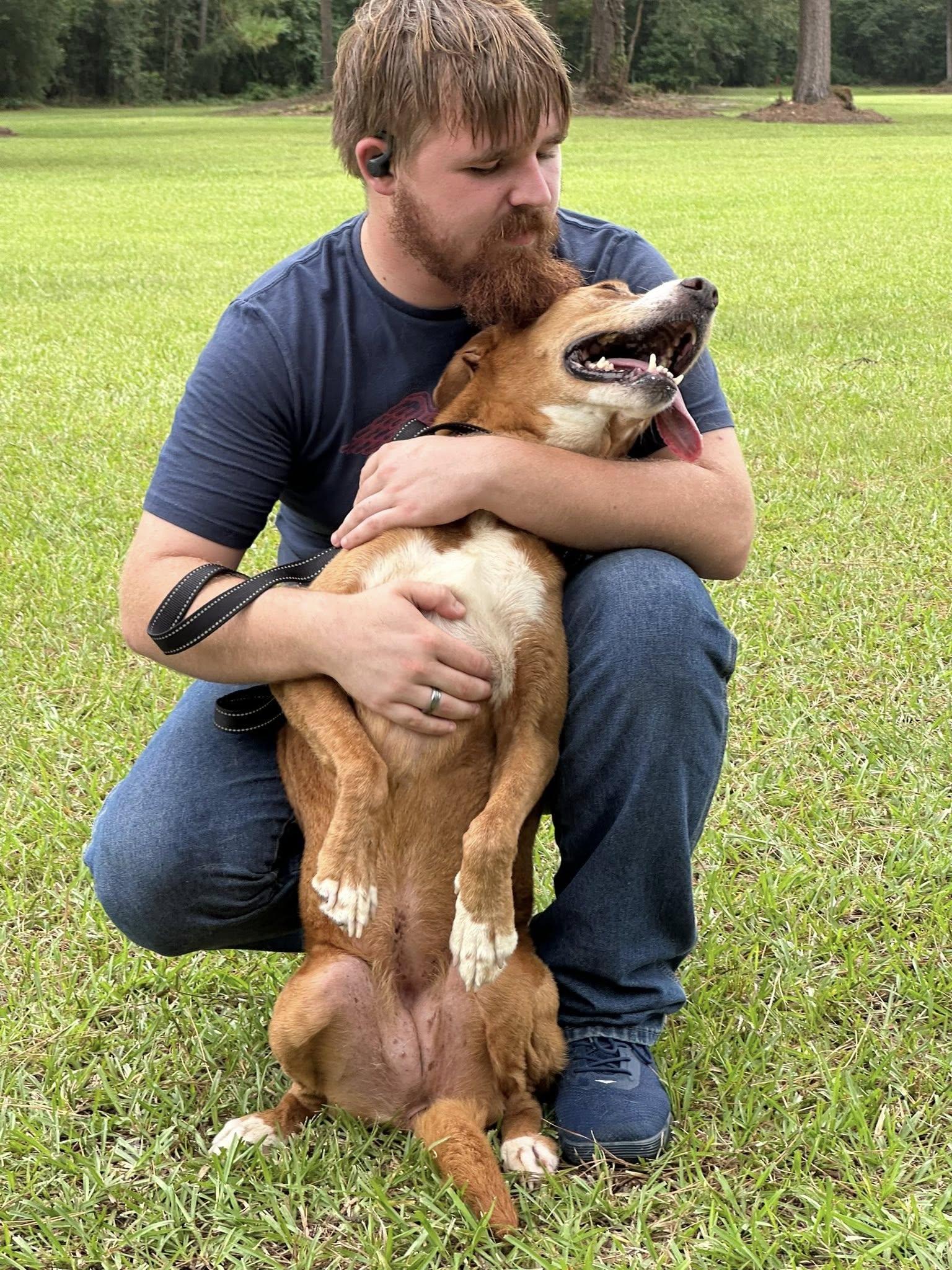 Enlarge Honey, a Adoptable mixed breed in Vidor, TX image 2/6