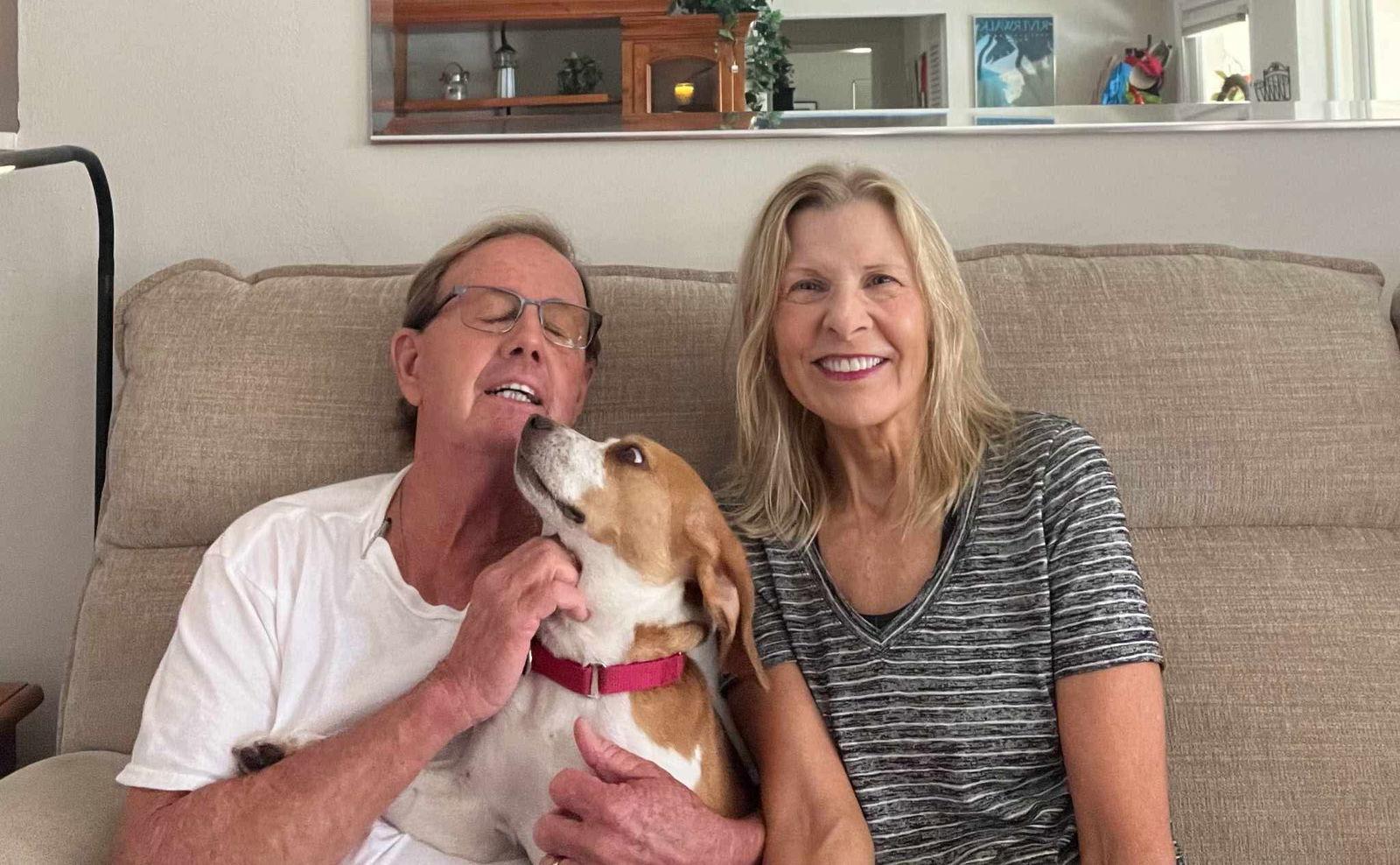 Enlarge Honey V, a Adopted Beagle in Dunnellon, FL image 3/3