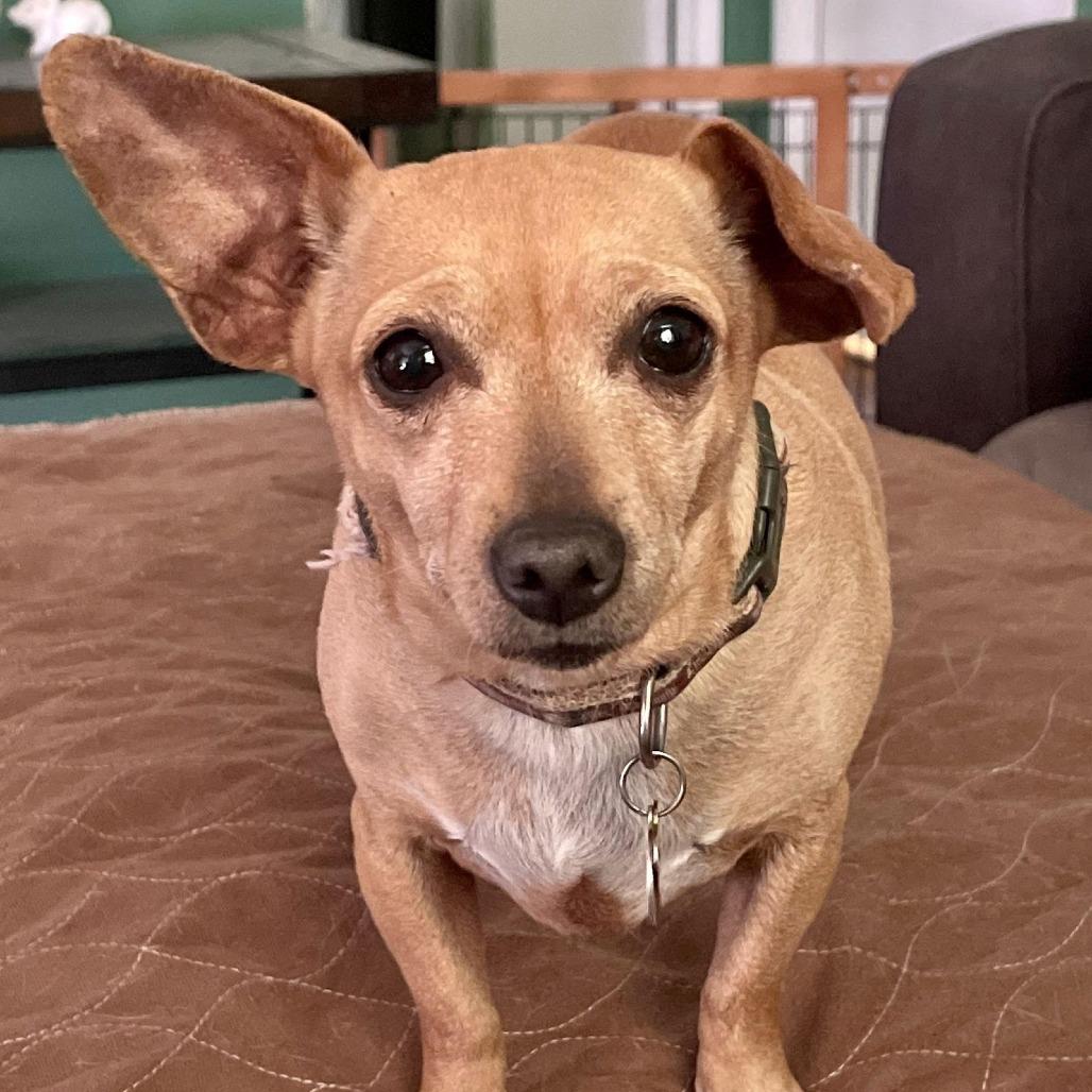 Nala — thumbnail 2