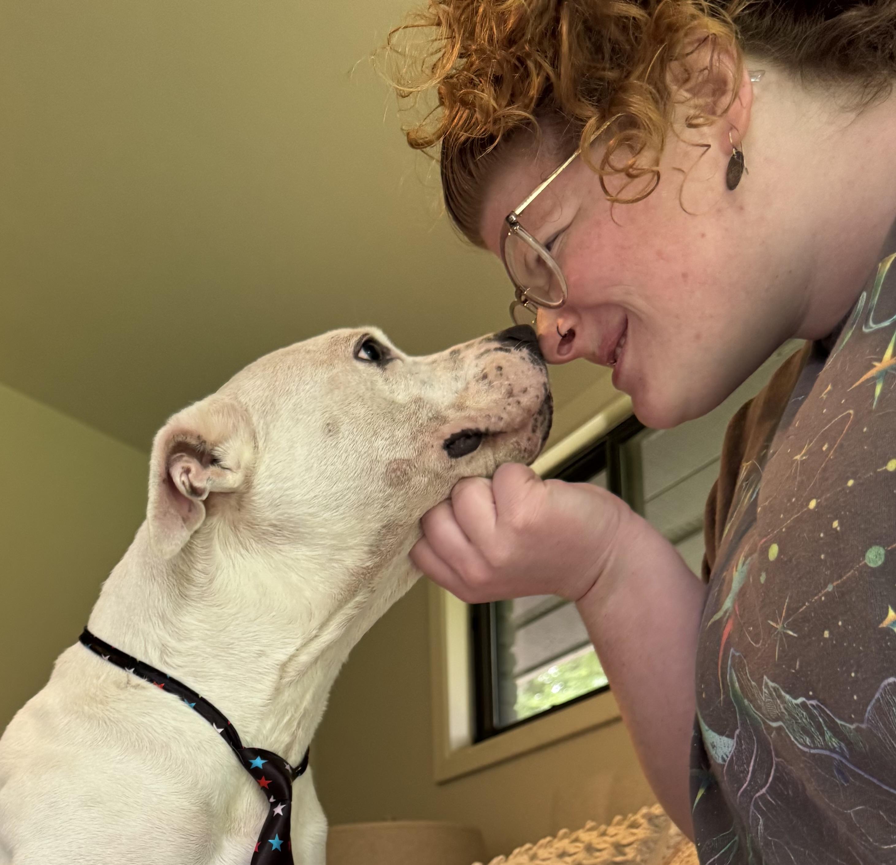 Enlarge Pascal, a Adoptable Mixed Breed in Arlington, TN image 6/6