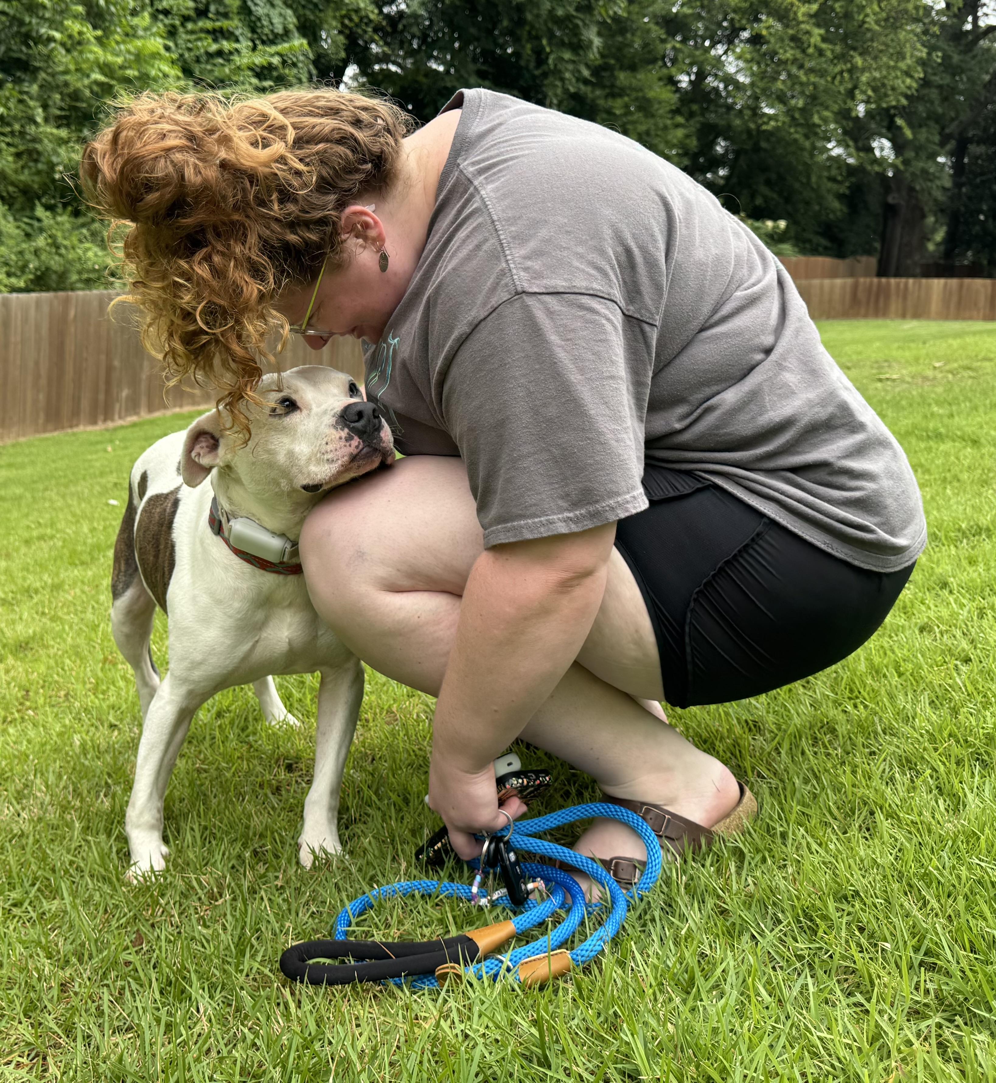 Enlarge Pascal, a Adoptable Mixed Breed in Arlington, TN image 5/6