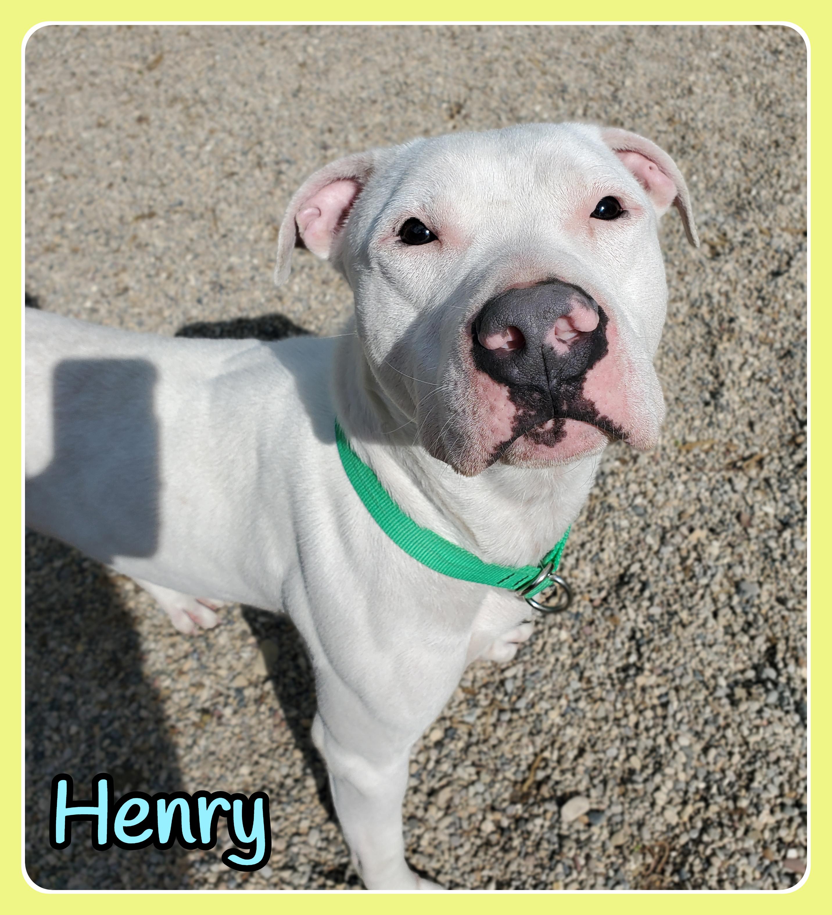 Henry