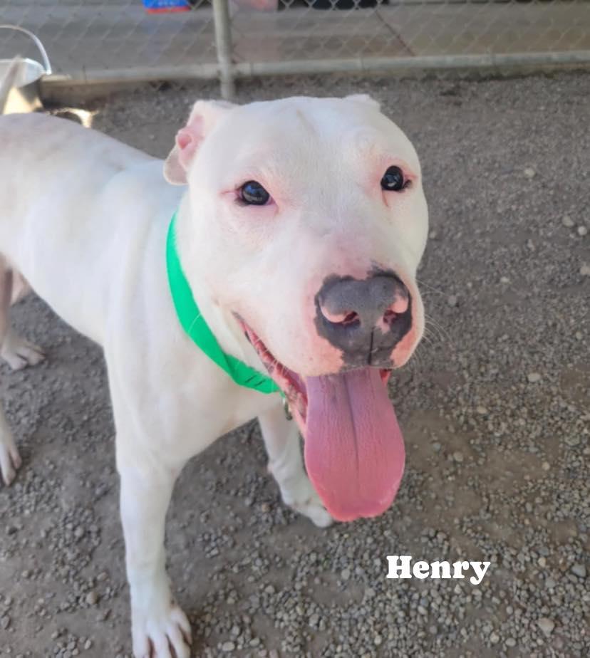 Henry