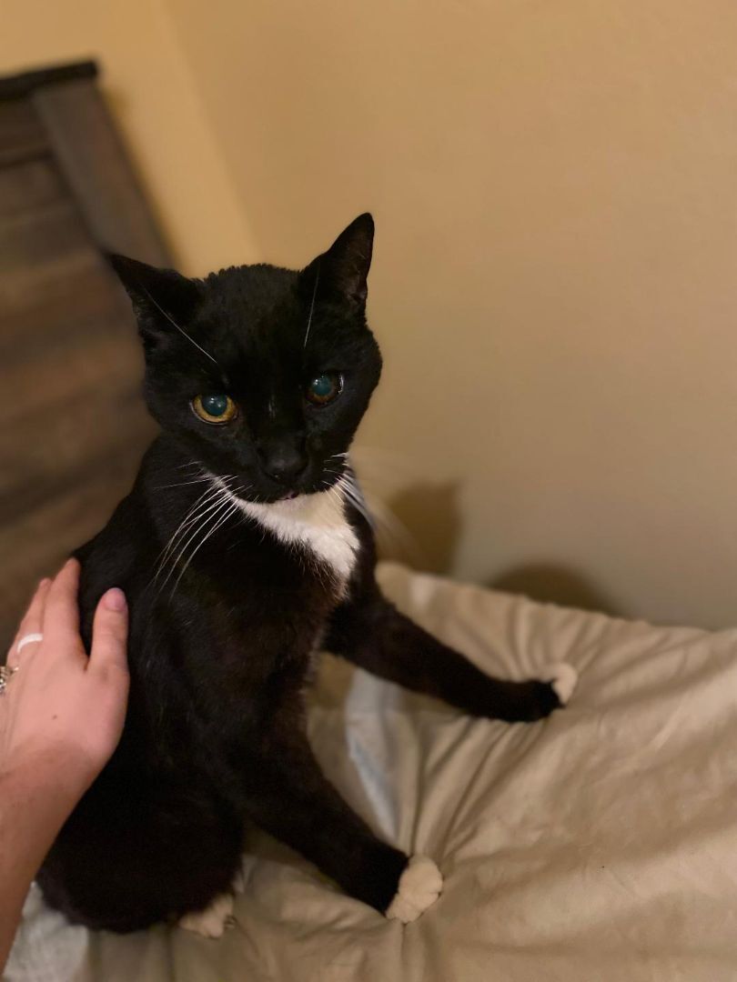 Sebastian