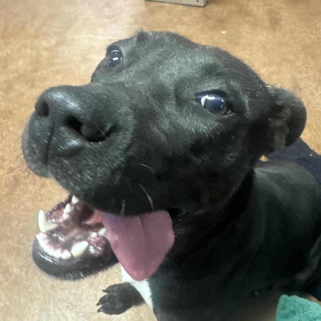 Honey — thumbnail 3