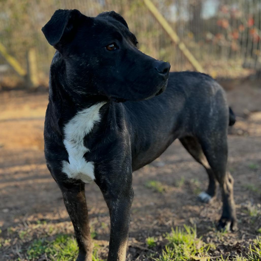 Honey — thumbnail 5