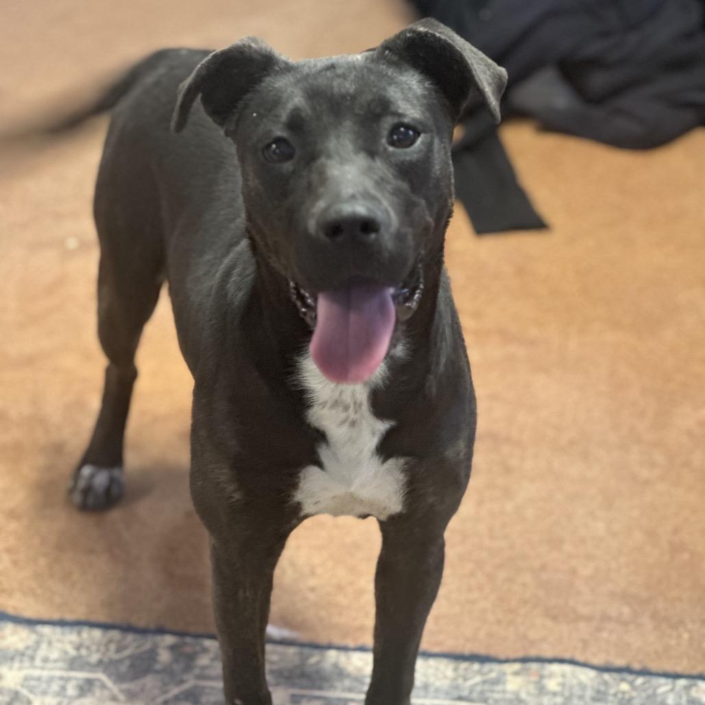 Honey — thumbnail 6