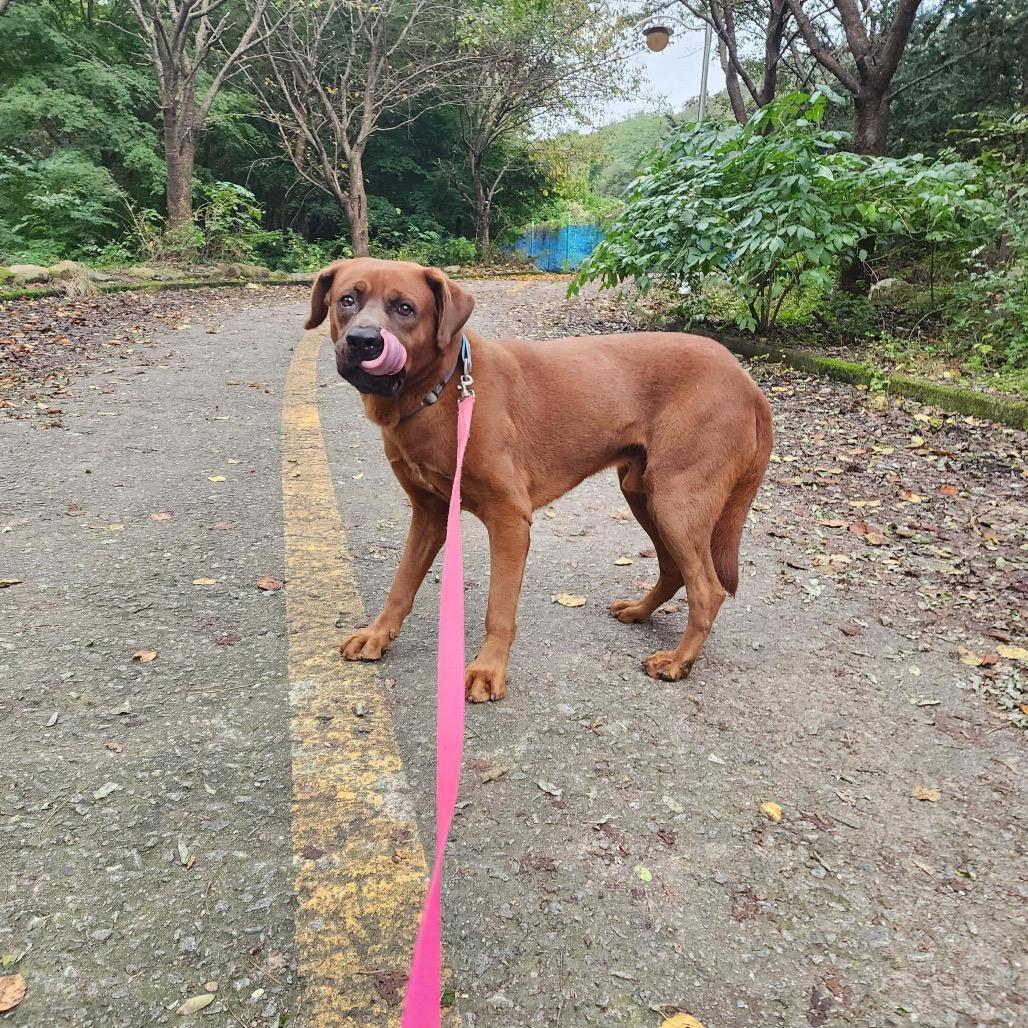 Yang Gaeng thumbnail 2