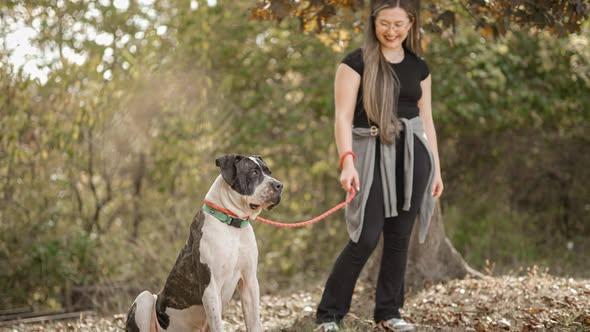 Enlarge Camo, a Adoptable Presa Canario in Toledo, OH image 1/5