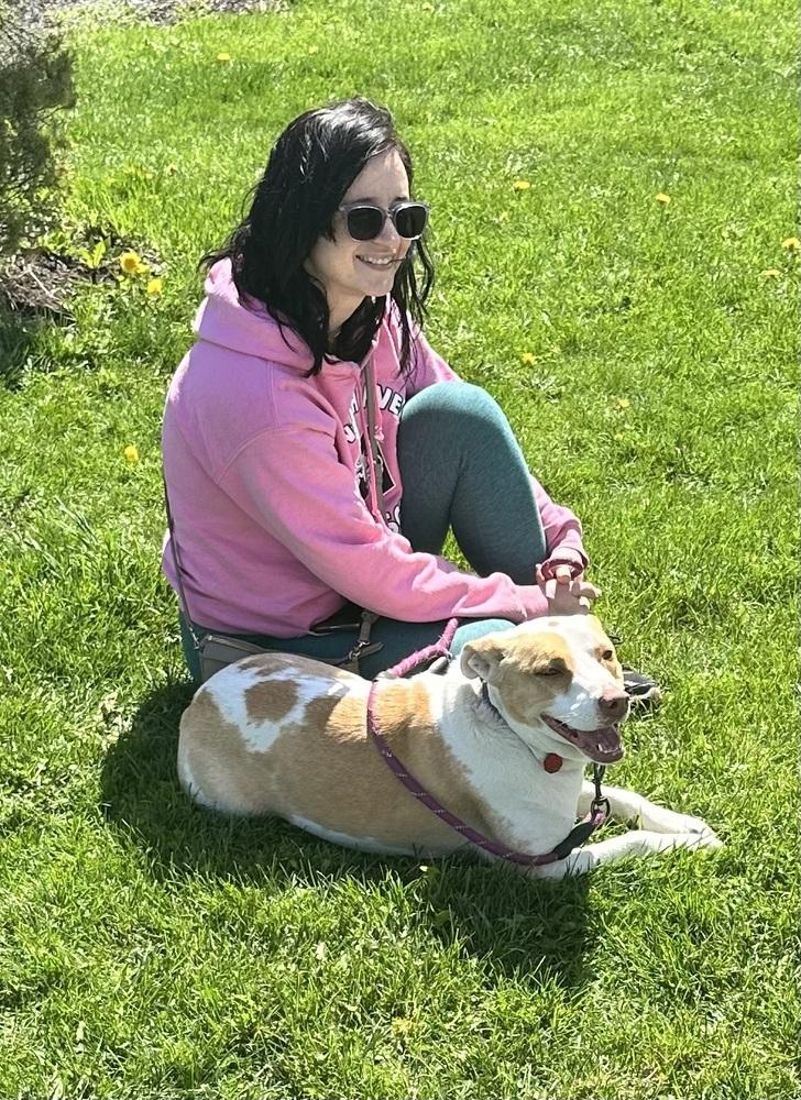 Enlarge Breezy, a Adoptable mixed breed in Syracuse, NY image 2/6