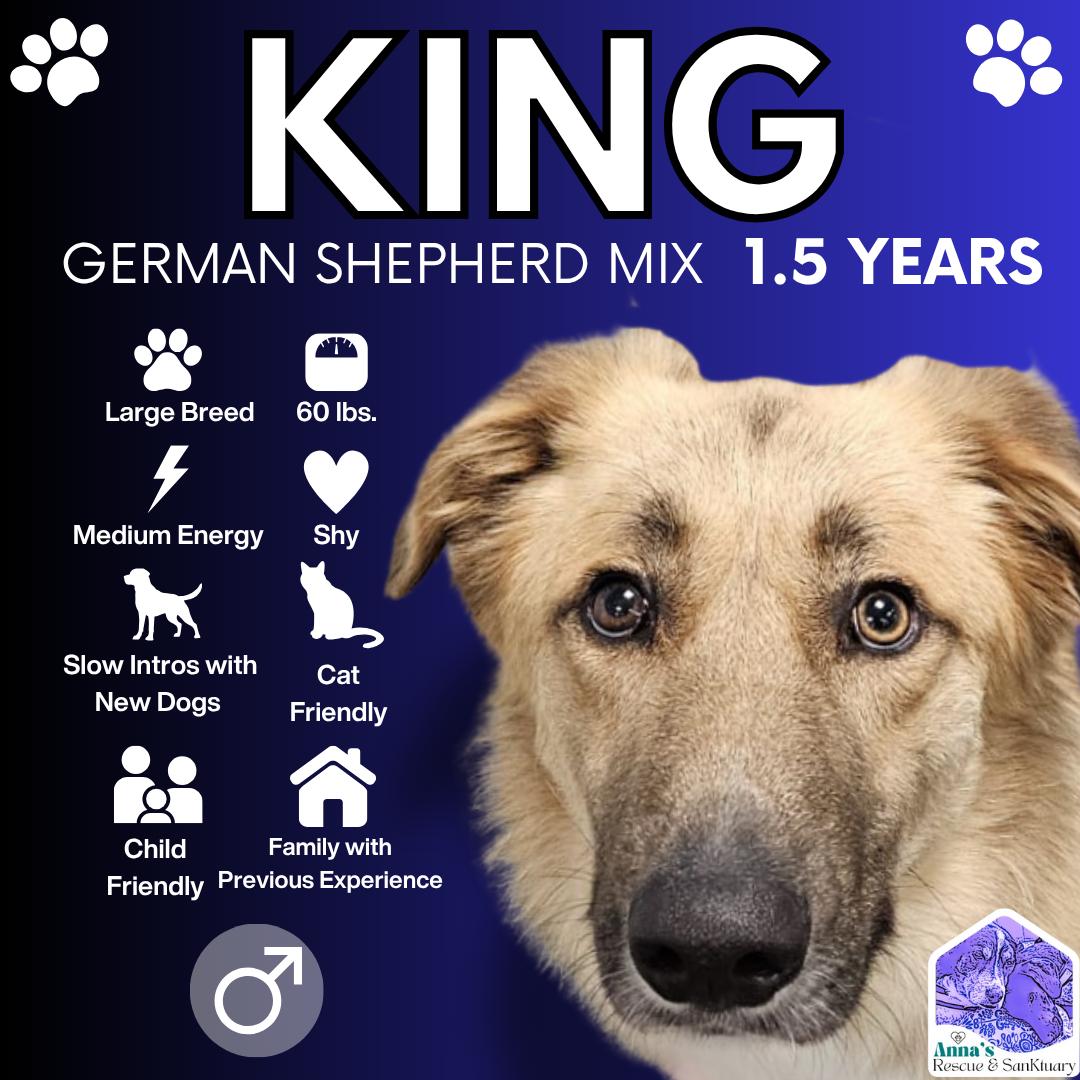 King 1
