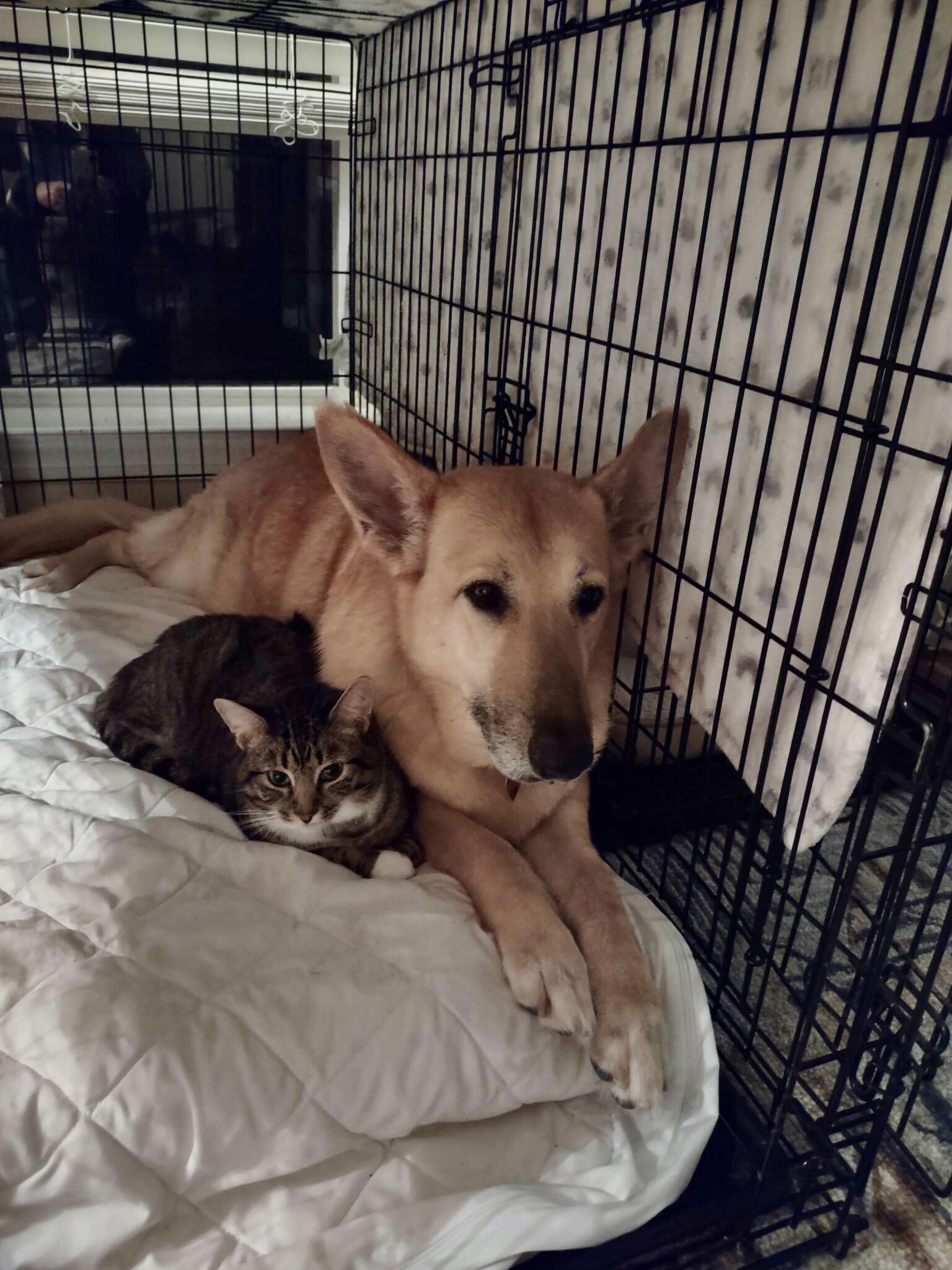 Molly — thumbnail 3