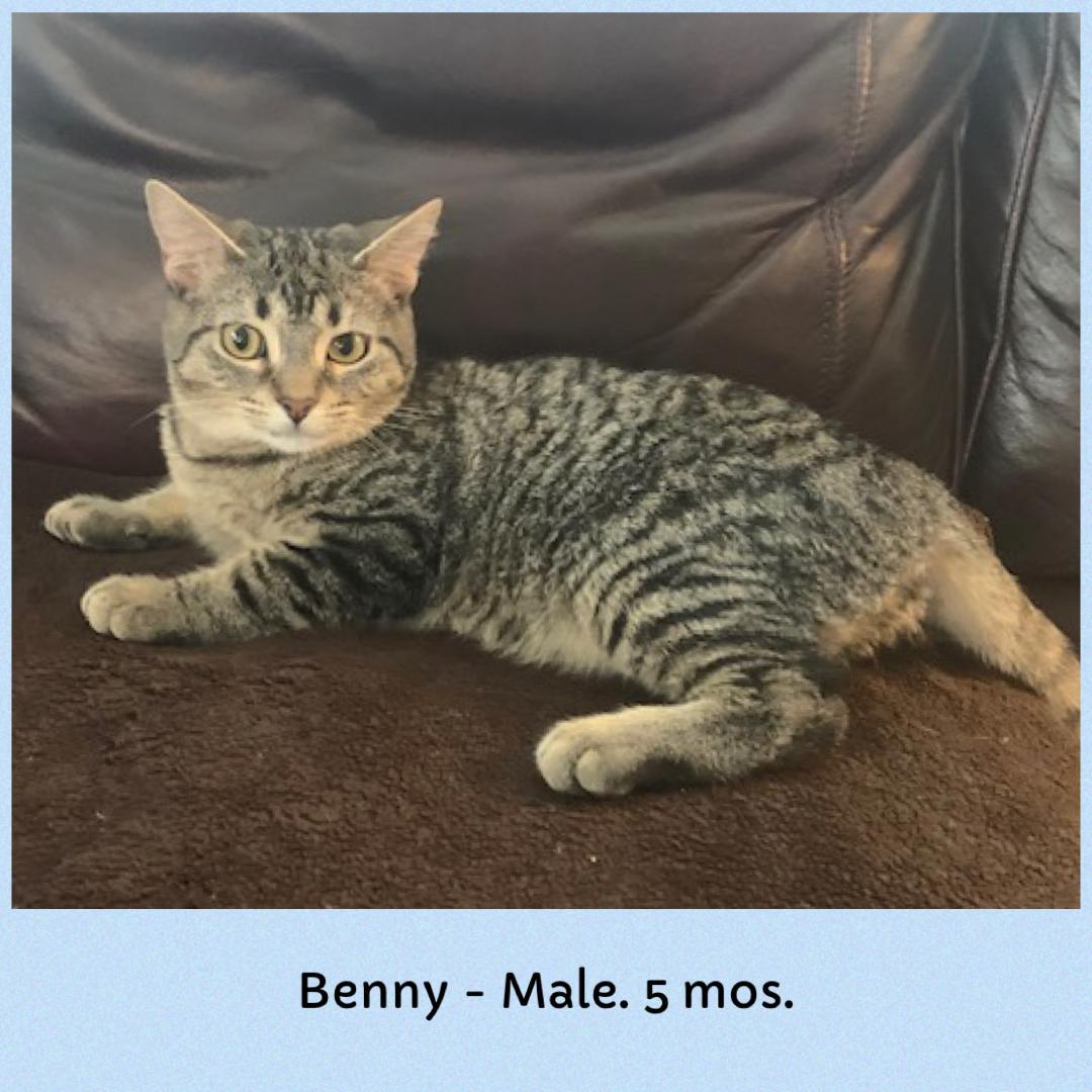 Benny