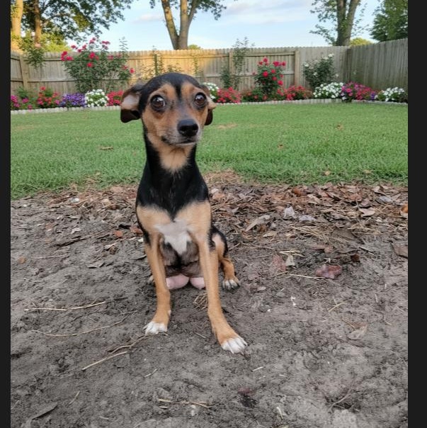 Eden — thumbnail 2