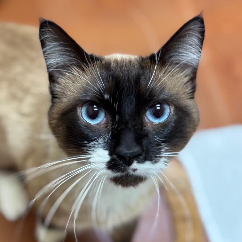 Theodore thumbnail 2